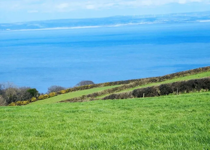Sylvie\'S Country Cottage North Devon