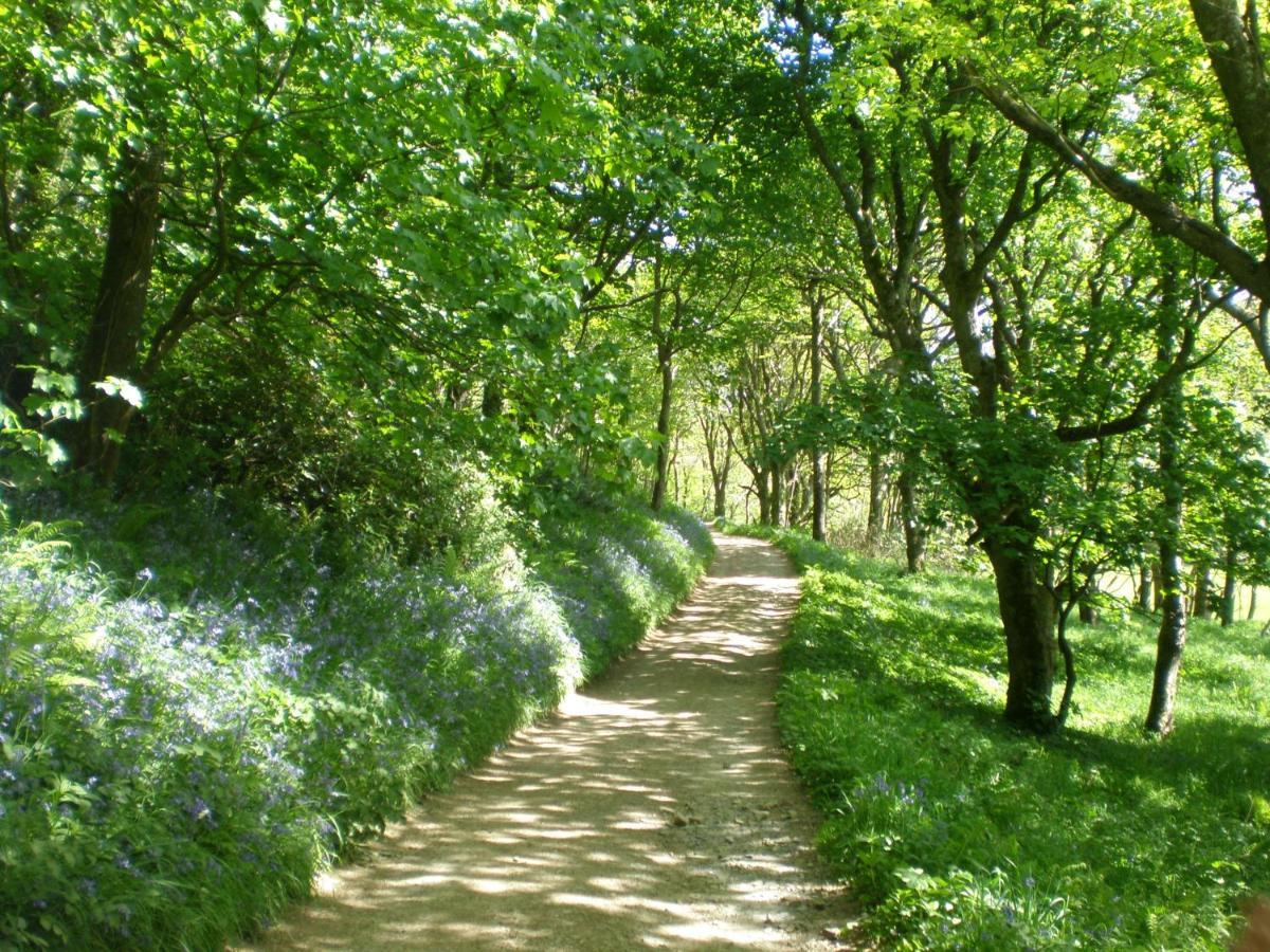 Sylvie's Country North Devon Holiday home